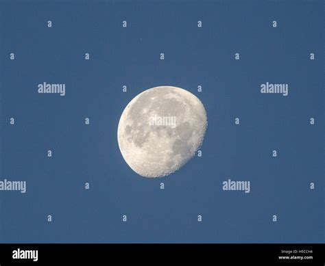 A Waning Gibbous Moon In The Clear Blue Morning Sky Just After Sunrise