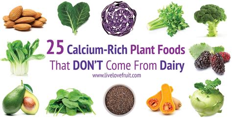 So much so that only about a quarter of its calcium content can be absorbed by the body. 25 Calcium-Rich Plant Foods That DON'T Come From Dairy ...