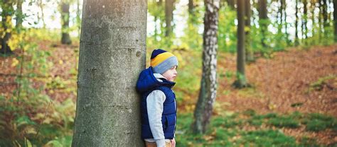 6 Cosas Que Los Niños Pueden Hacer Para Cuidar Los árboles Blog Xochitla