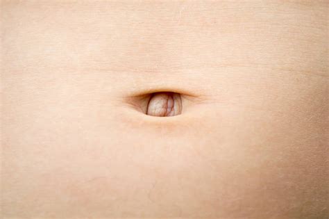 Belly Button Stock Photos Pictures And Royalty Free Images Istock