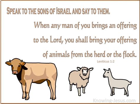 37 Bible Verses About Animals Religious Role Of