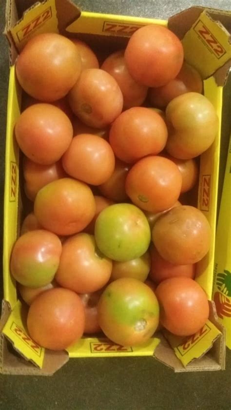 Round Tomatoes Full Box 55kg Wffp Shop