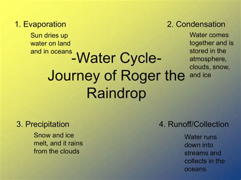 Water Cycle Journey Of Roger The Raindrop