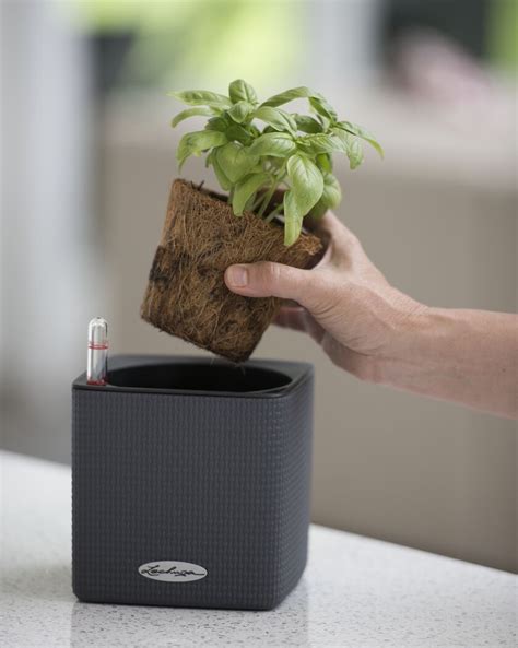 Herb Planter Mini Cube Self Watering Herb Planter Indoor Herbs