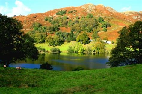 Loughrigg Tarn Near Grasmere Northern England The Beautiful Country