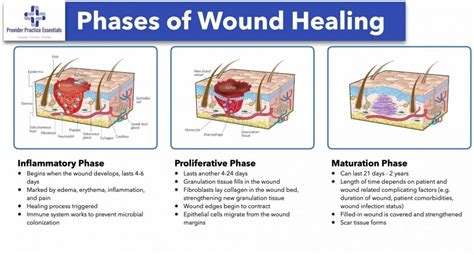 Providing Surgical Wound Care And Understanding The Types Of Healing