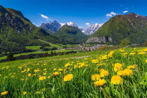 50 Amazing Photos That Show The Beauty Of Slovenia In Spring