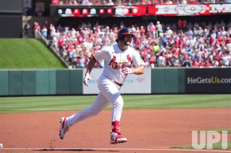 Photo St Louis Cardinals Alec Burleson Hits Solo Home Run