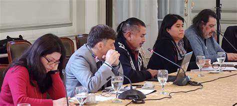 Xvii Reunión De Autoridades Sobre Pueblos Indígenas Del Mercosur Rapim Argentinagobar
