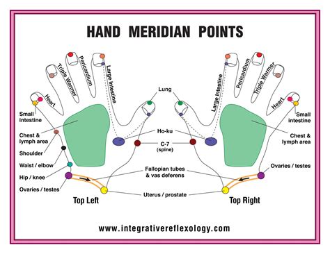 Buy 85 X 11 Hand Chart