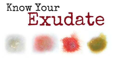 Exudate The Type And Amount Is Telling You Something Wcei Blog