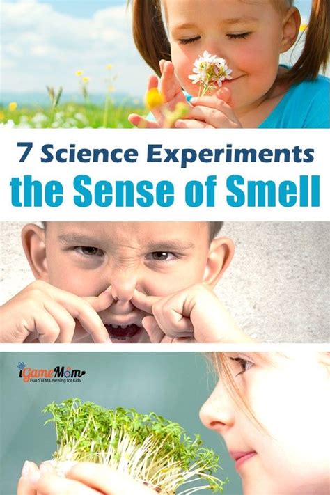 Sense Of Smell For Kids