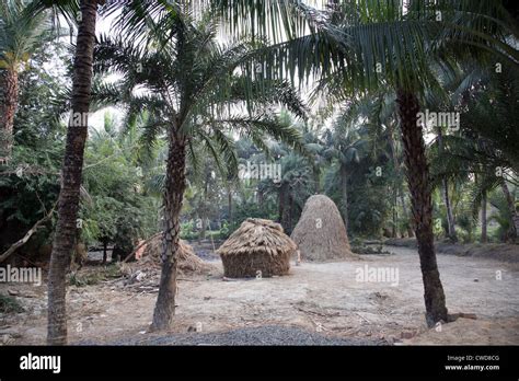 Bengali Village High Resolution Stock Photography And Images Alamy