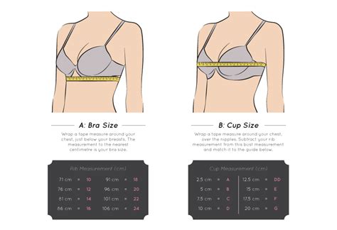 For example, maybe your cup size is fine, but you want a larger band of your bra. The Essential Size Guide: Getting the Best Fit | EziBuy