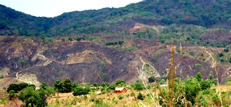 Deforestation In Africa Malawi
