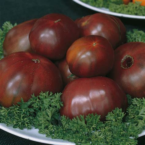 Russian Heirloom Tomatoes