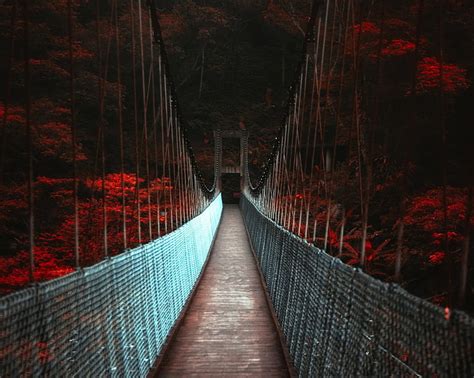Hd Wallpaper Brown Bridge Landscape Nature Dark Fall Trees Red