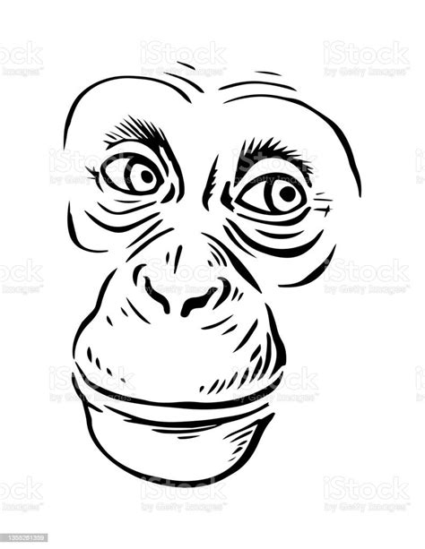 Chimpanzee Head Stock Illustration Download Image Now Animal Head