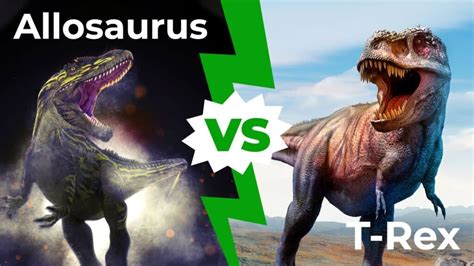 Allosaurus Vs T Rex Who Would Win In A Fight Imp World