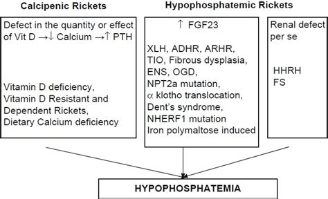Classification Of Rickets Adhr Autosomal Dominant Hypophosphatemic