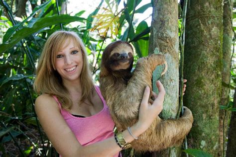 Becky Cliffe The Sloth Woman Of Costa Rica Scrolller