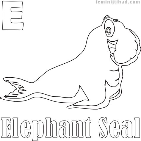 These are suitable for preschool, kindergarten and first grade. Elephant Seal Coloring Page at GetColorings.com | Free ...