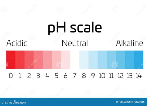Escala Del Ph Indicador Del Valor De Ph Que Expresa El índice De Acidez