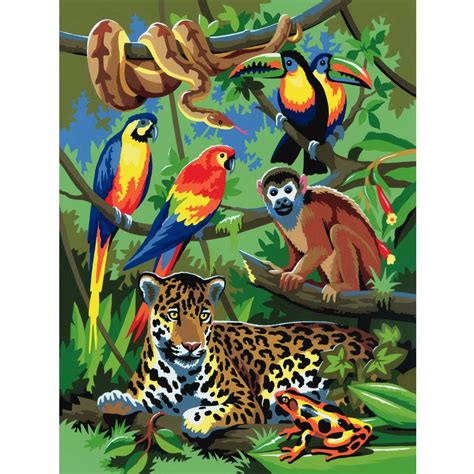 Rainforest Drawing With Animals Rainforest Animal