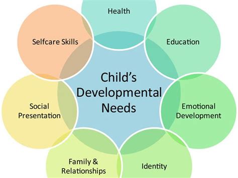 Piaget Theory Of Cognitive Development Schema What Are The Four