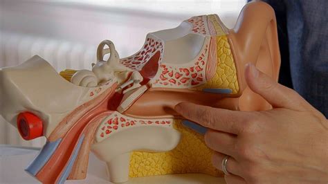 Here are some easy ways in which you can clear the water from. How NOT to Clean Your Ears | Earth Lab - YouTube