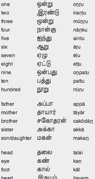 View 37 41 Picturesque Meaning In Tamil Pics Cdr