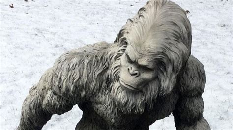 Yeti No More Mystery Solved Dna Evidence Suggests Ancient Samples