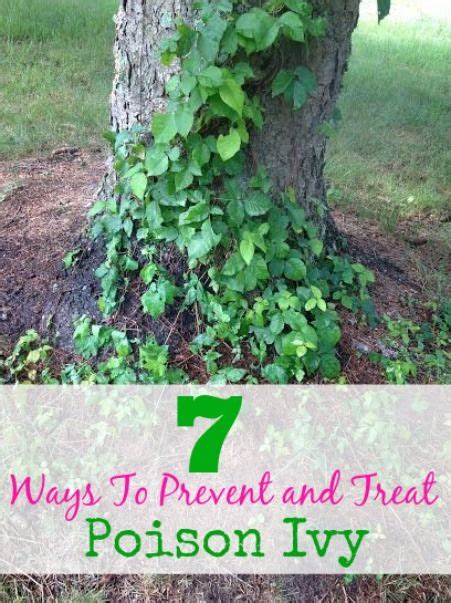 7 Ways To Prevent And Treat Poison Ivy Prevention Home Remedies