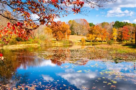 Fall In Ct 13 Top Fall Foliage In Connecticut Spots For 2023 New