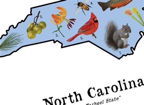 This Item Is Unavailable Etsy North Carolina Art State Symbols