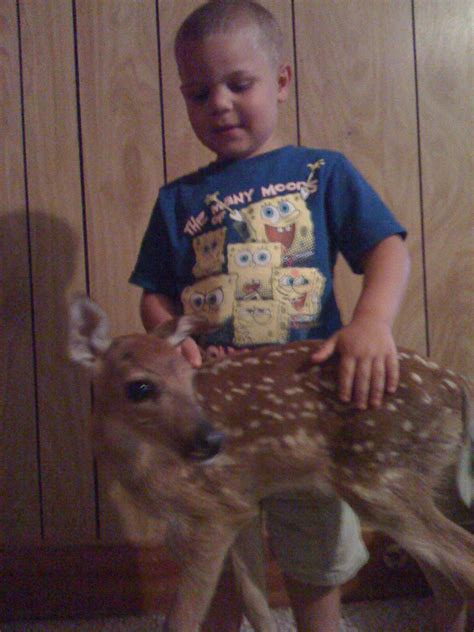 Louisiana Trophy Whitetail Petting Zoo For You Or Your Childrens