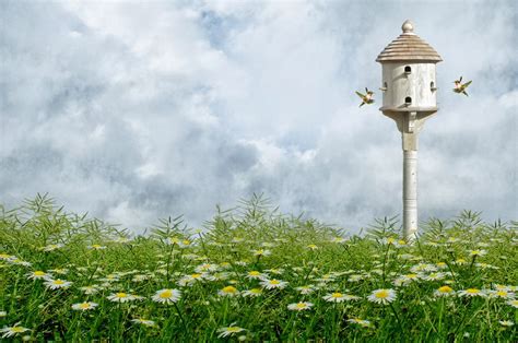 WALLPAPER TAMAN BUNGA - Kumpulan Kartun