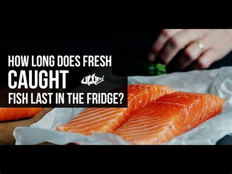 How Long Is Freshly Caught Fish Good For Tips For Maximum Freshness