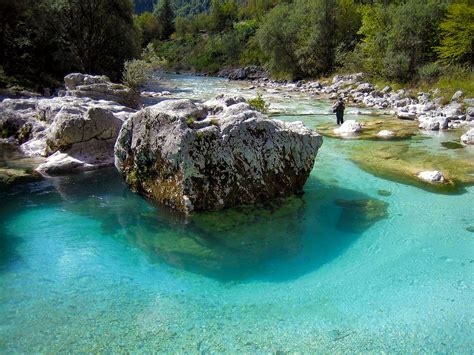Soca River Fishing Slovenia Travelsloveniaorg All You Need To Know