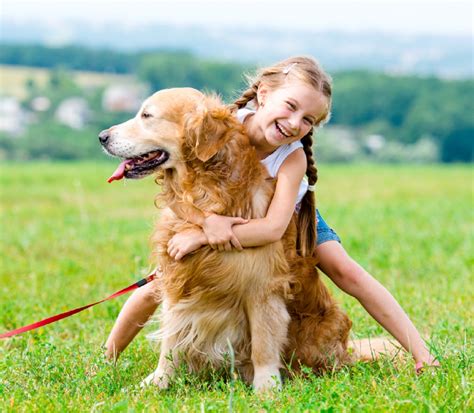 Best 5 Dog Breeds For Kids Doglopedix
