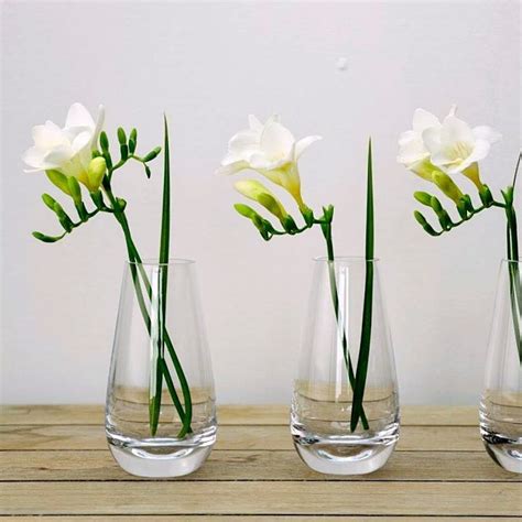Mira Single Stem Flower Vase 30cm Vases