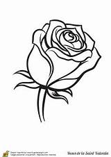 Rose Drawing Flower Stencil Outline Line Tattoo Une Single Coloring Yellow Drawings Pages Adorable Pour La Schablone Blumen Tattoos Valentin sketch template