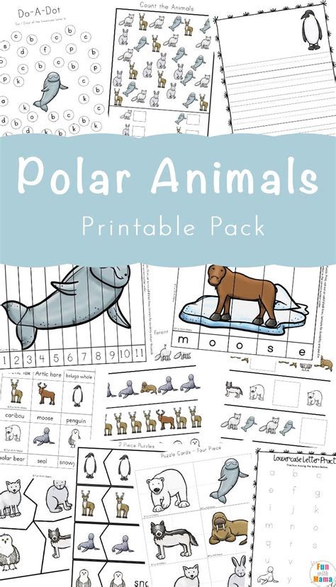 Arctic Animals Worksheet Kindergarten