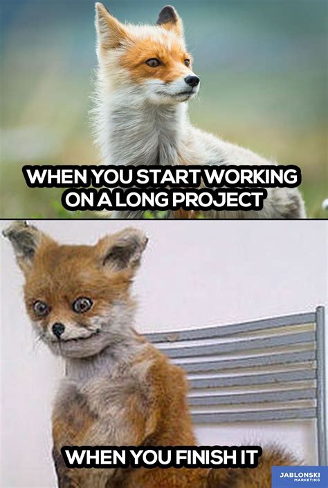 When You Start Working On A Long Project When You Finish It Meme