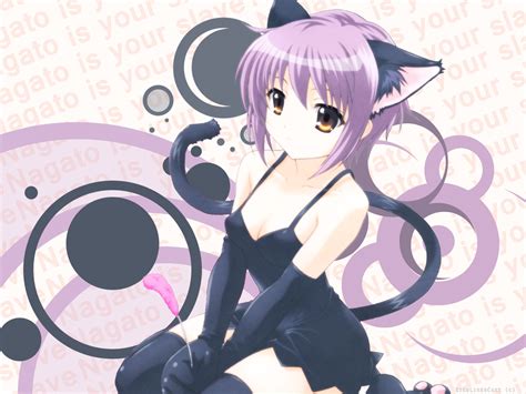 38 Anime Cat Girl Wallpaper On Wallpapersafari