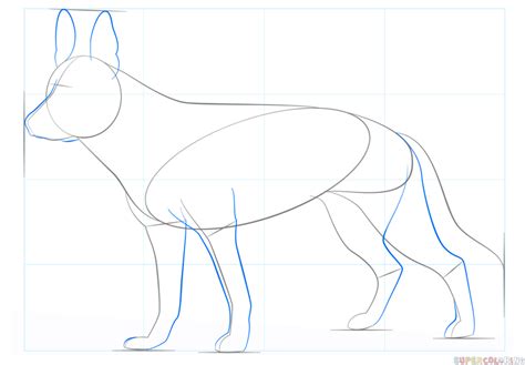 How To Draw A German Shepherd Dog Step By Step Drawing Tutorials