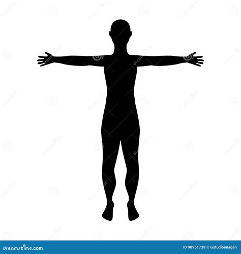 Man Anatomy Silhouette Isolated Icon Stock Vector Illustration Of