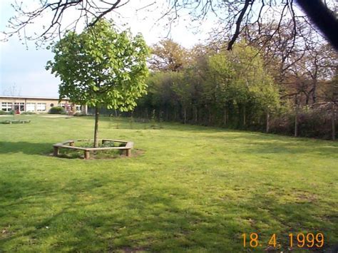 Clear water pluming and heating. Terrel's (or Tyrrell's) Wood | Places | Tilbury and ...