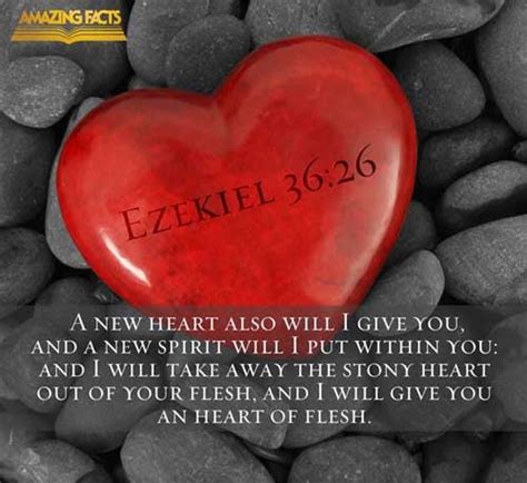 Scripture Pictures From The Book Of Ezekiel Amazing Facts