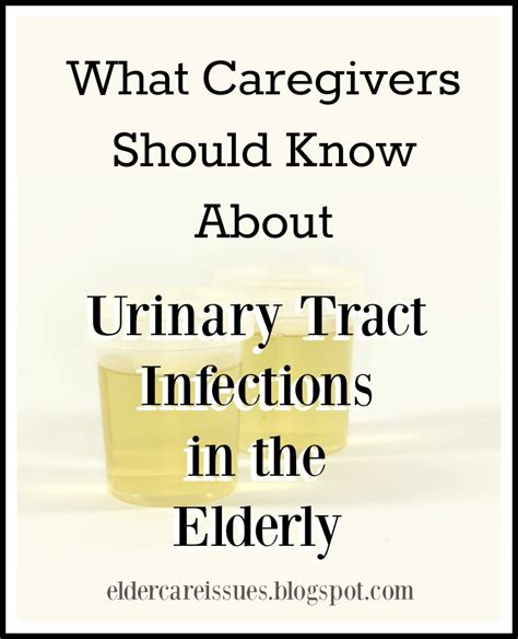 What Caregivers Should Know About Utis In The Elderly Elder Care Issues